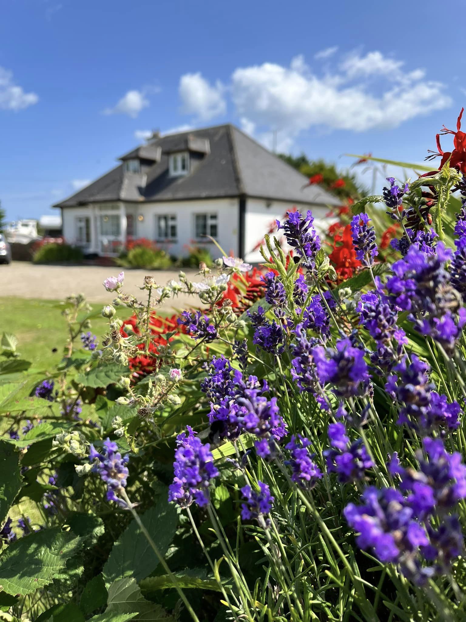 358020038_759430829309119_4104964466492344786_n