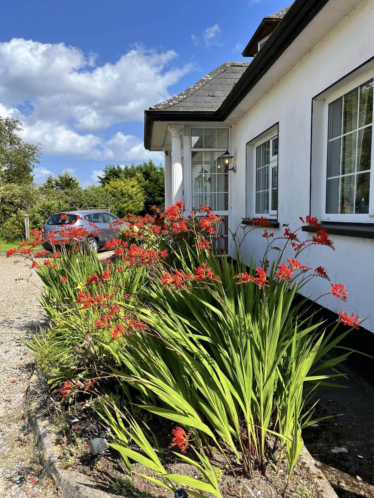 358021636_759430909309111_5540537966344279361_n